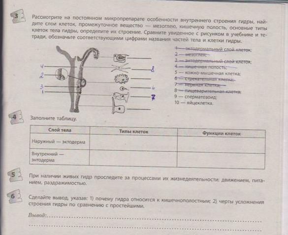 Код аккаунта блэк спрут