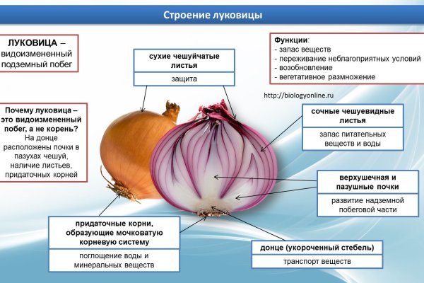 Блэк спрут ссылка на сайт оригинал